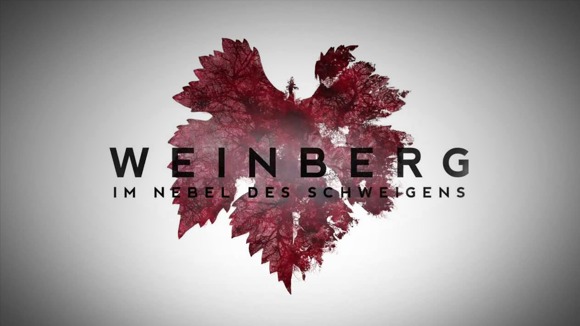 Weinberg (TV-Series, TNT) – VFX